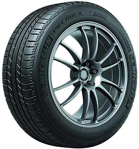 MICHELIN Premier A/S All-Season Tire 205/55R16 91H - Shop Tires ...